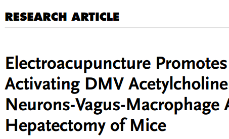 曙光医院针刺麻醉研究团队在Advanced Science发表论文揭示针刺促进肝部分切除术后肝再生的作用和机制