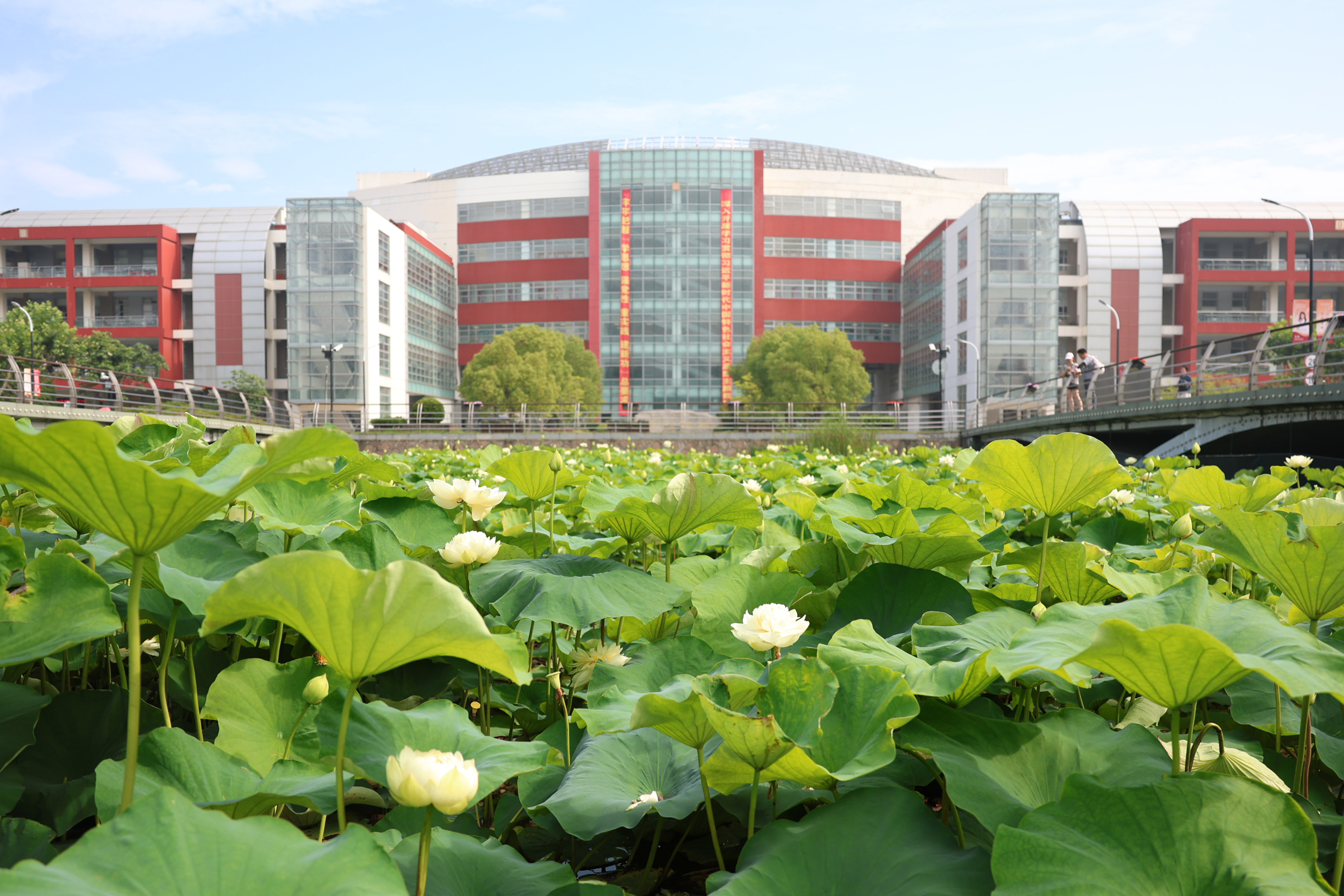 特等奖！伟德教师在第五届上海市高校教师教学创新大赛中获多项佳绩