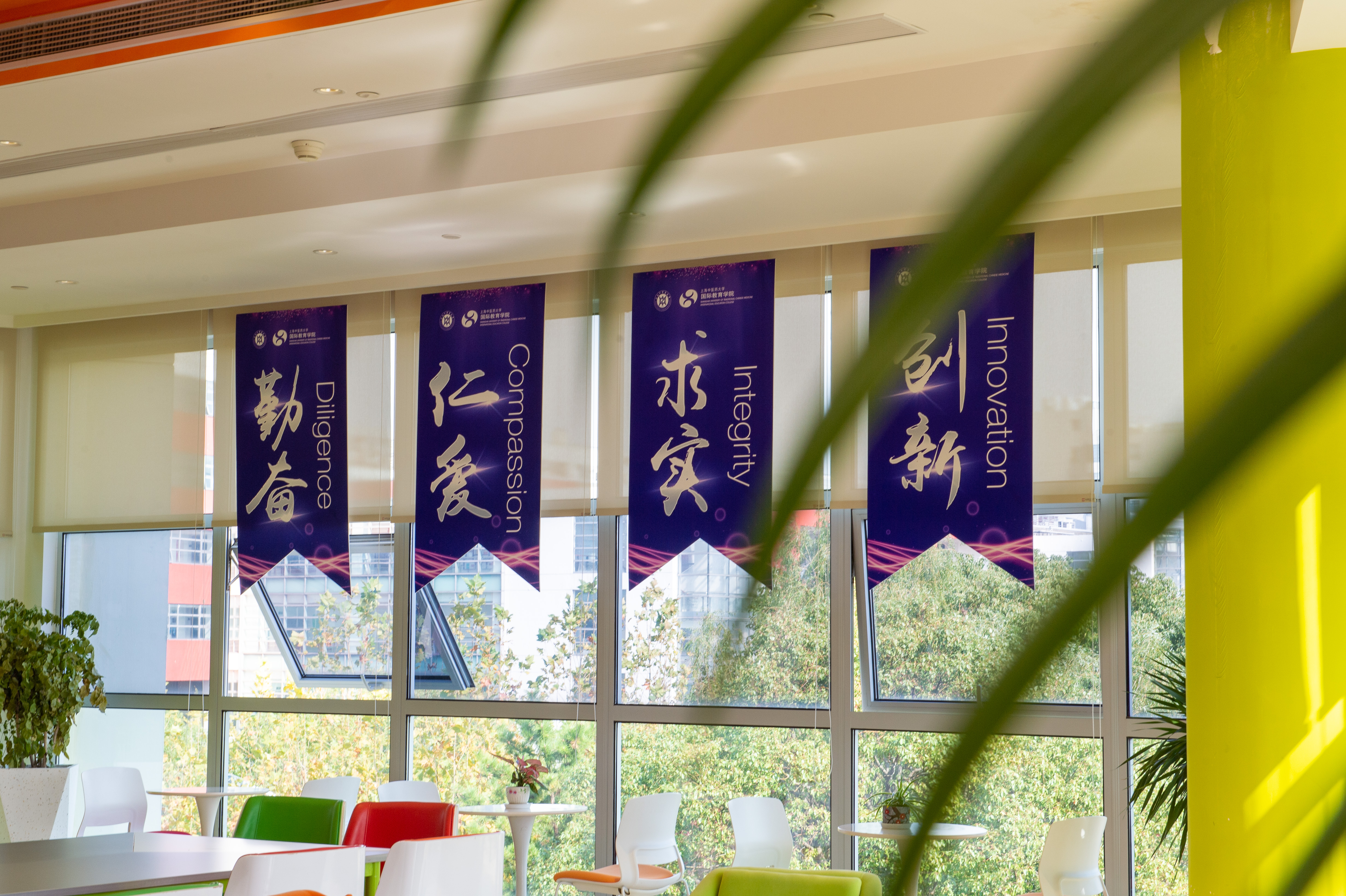 喜讯！伟德戴榕辰入选全国博士后创新人才支持计划