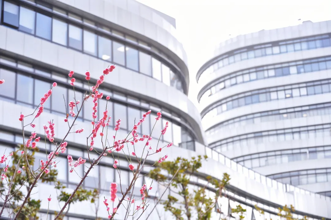  伟德中药研究所研发中药1类新药车前子片获新药临床试验批件