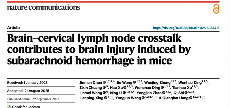 再登Nature Communications！伟德梁倩倩研究员、王拥军教授团队破解脑损伤病理机制