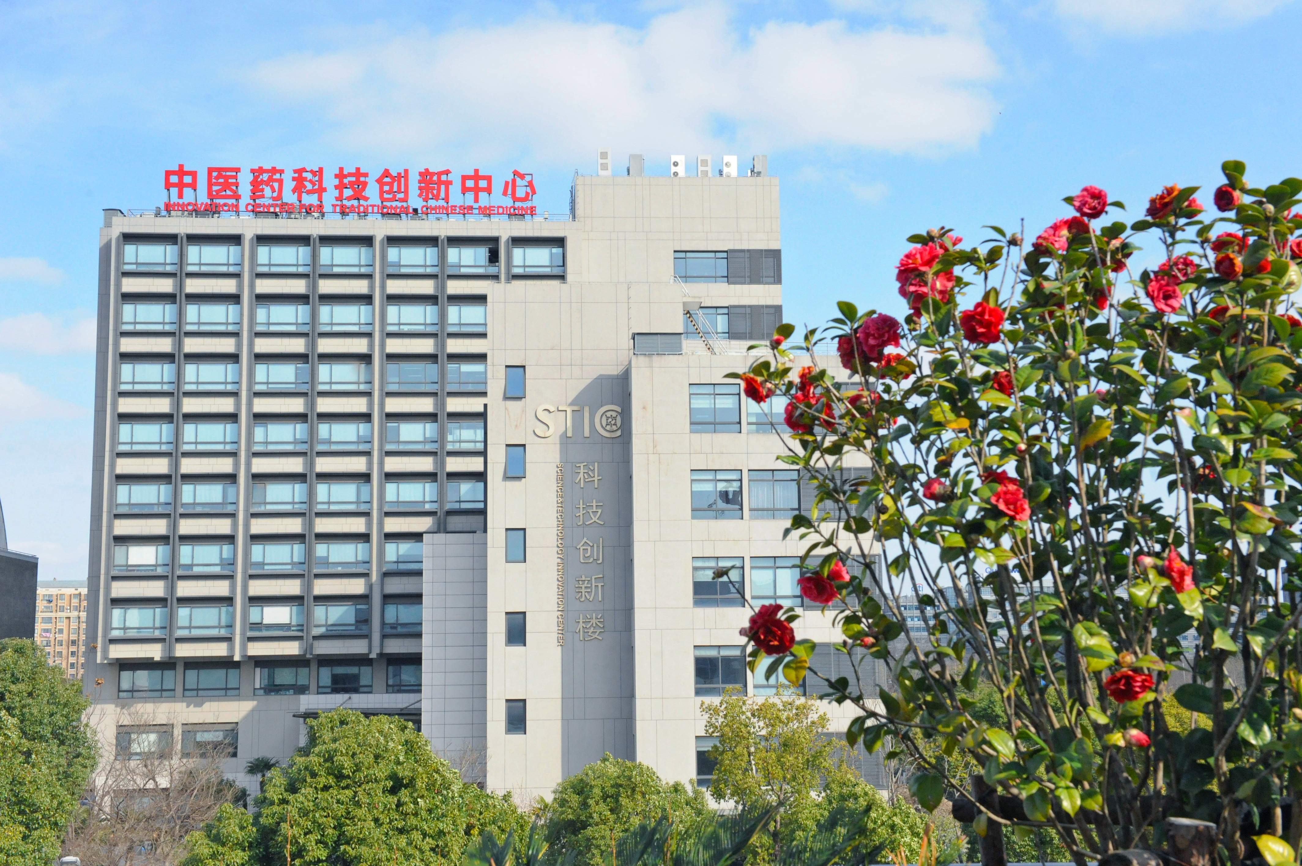 伟德12位学者入选爱思唯尔2025“中国高被引学者”榜单，位列中医药院校第一