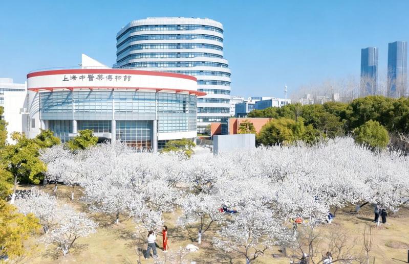 澎湃新闻：这所70岁中医名校为中外师生校友打造了一场春日雅集“大思政课”