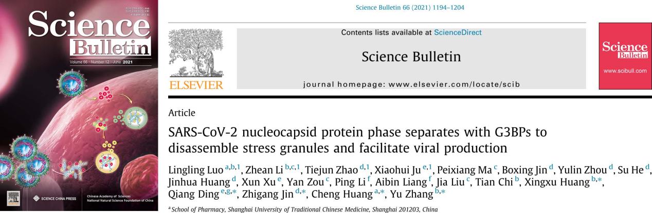 伟德黄诚教授团队与国内新冠病毒研究团队联合揭示新冠病毒逃逸宿主细胞防御的新机制