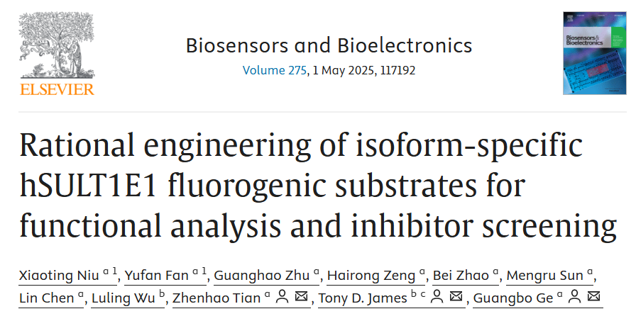 交叉科学研究院葛广波团队研发了首个雌激素代谢酶hSULT1E1的特异性荧光底物