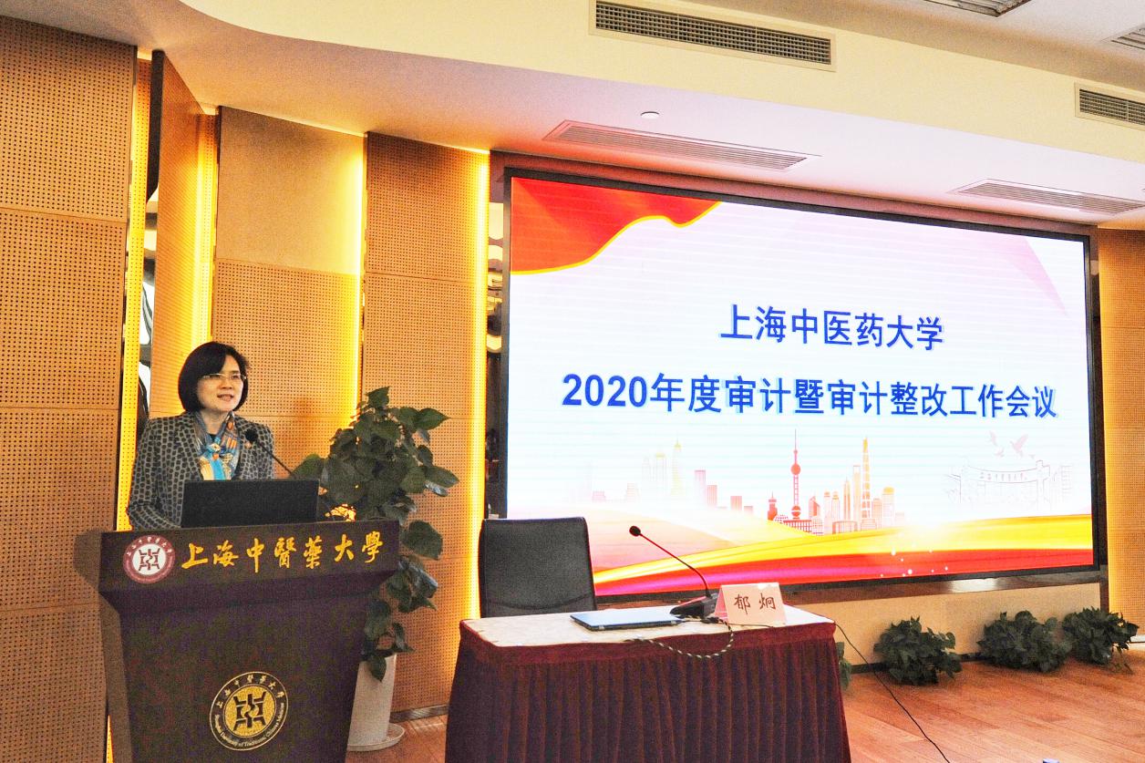 伟德召开2020年度审计暨审计整改工作会议