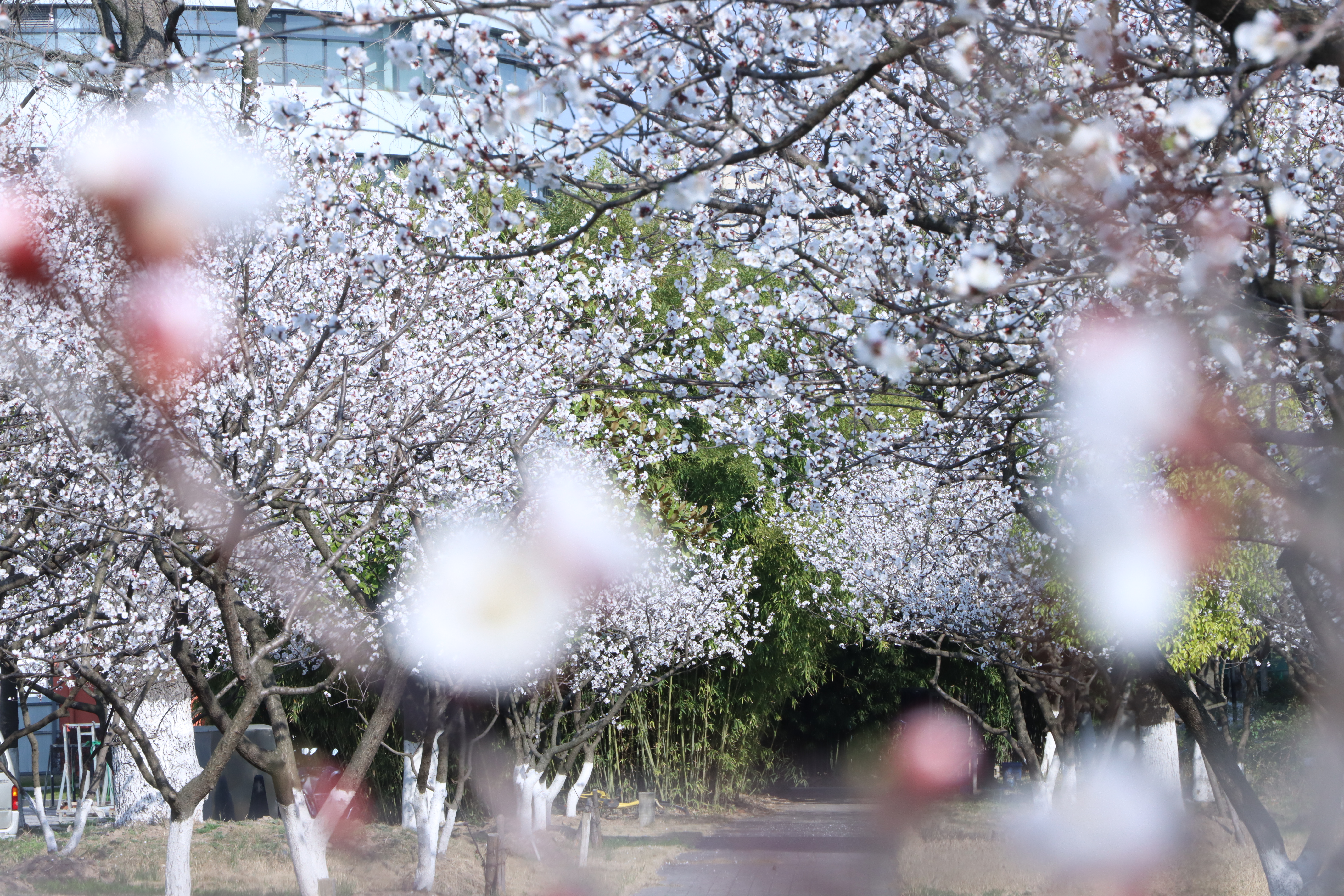 2023年上海科普教育创新奖颁奖，伟德系统共获奖11项