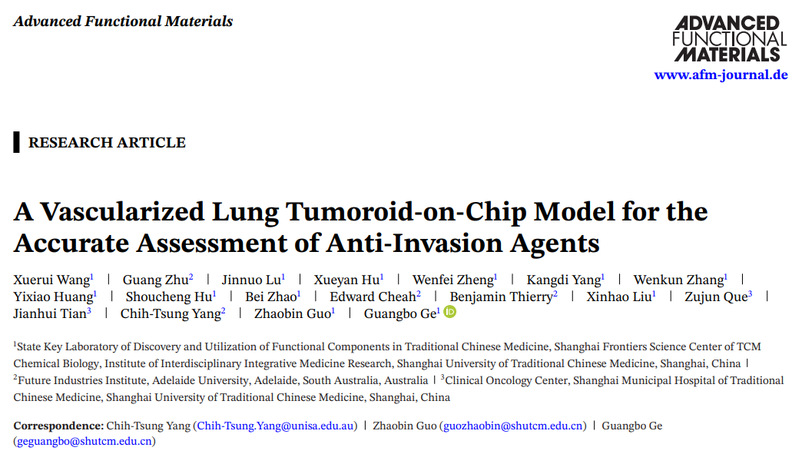 伟德交叉科学研究院团队成功研发血管化肺癌类器官芯片