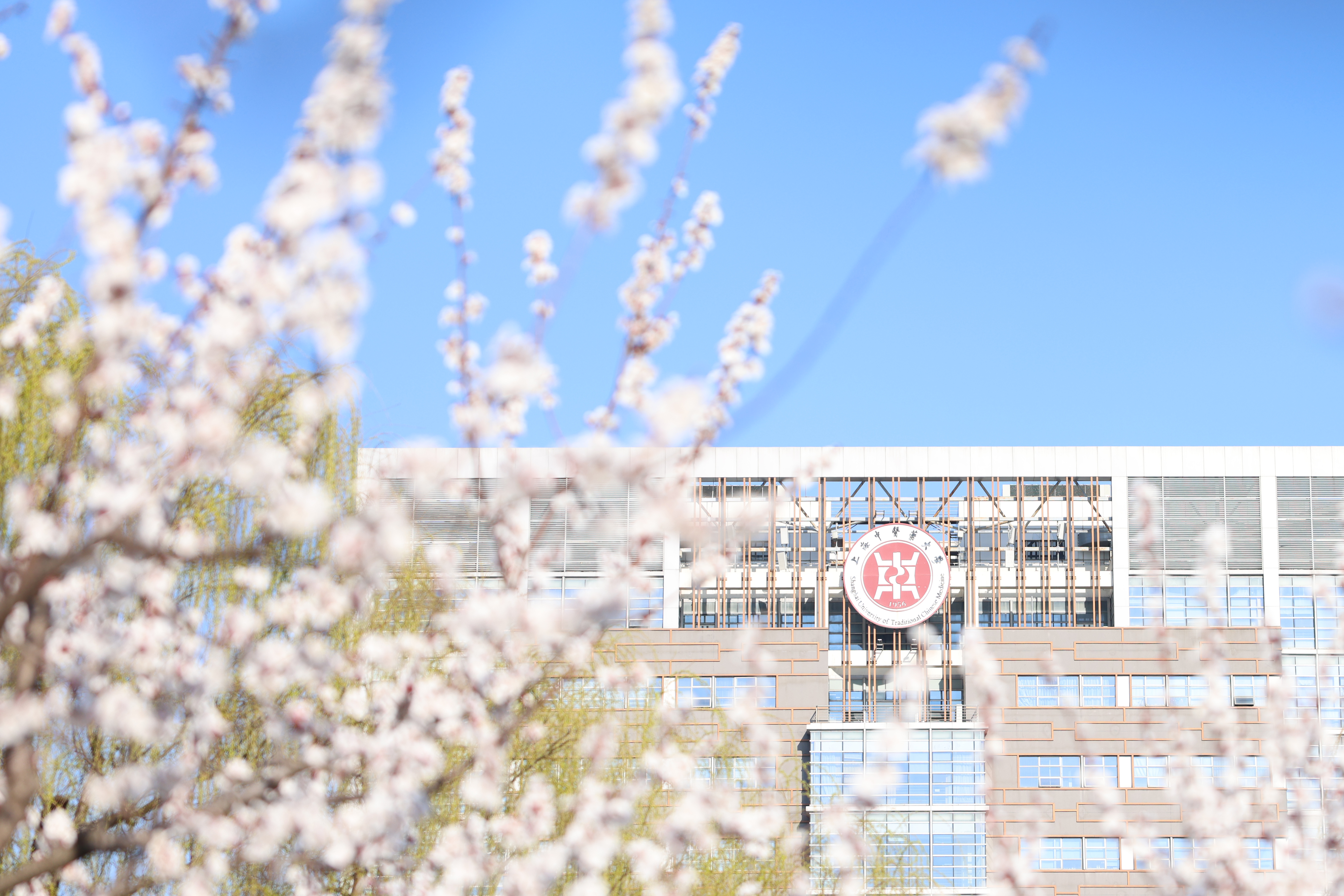 伟德10部教材入选“十四五”普通高等教育本科国家级规划教材