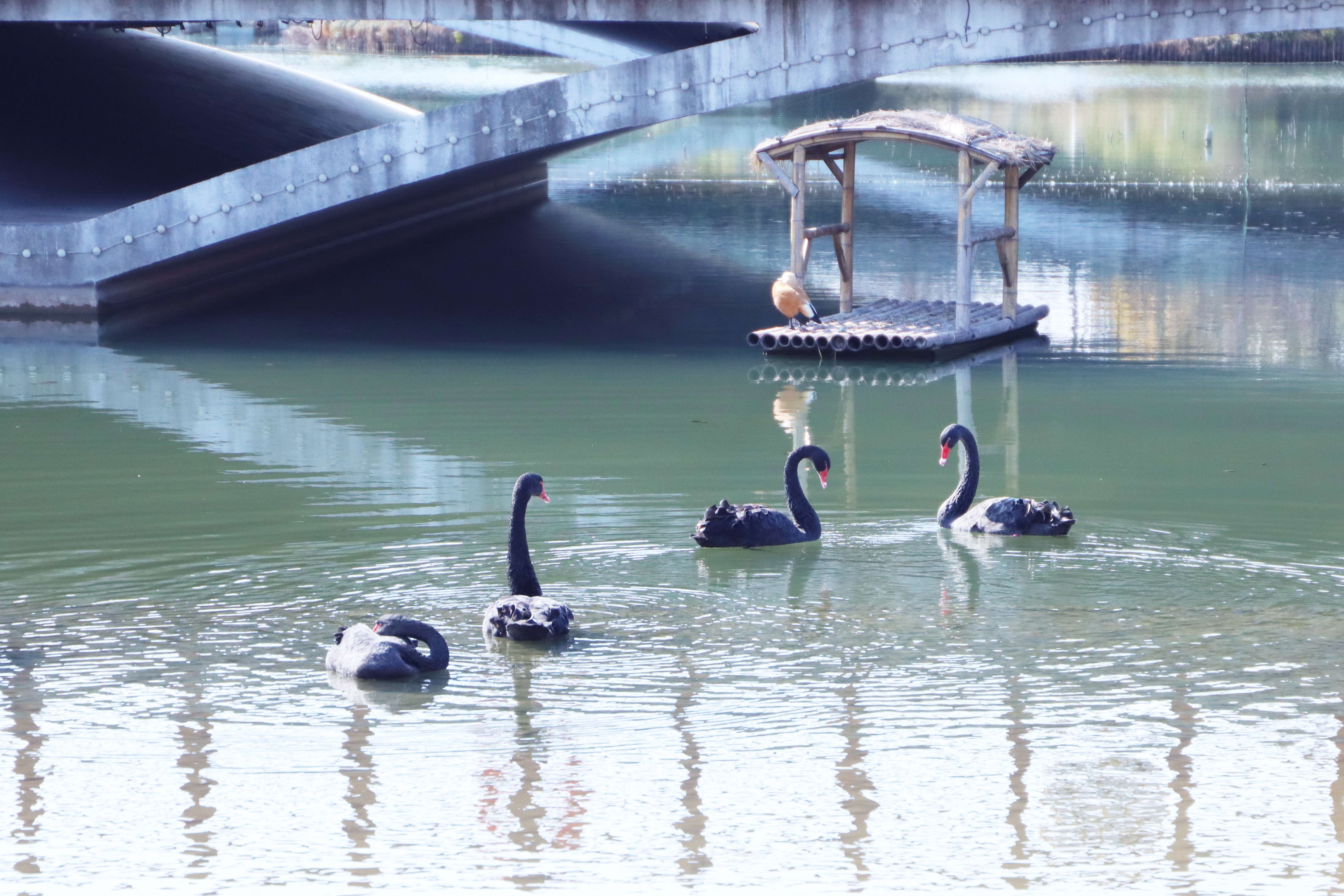 伟德护理学院吴静教授夫妇荣获“上海市教育系统第十五届比翼双飞模范佳侣”称号