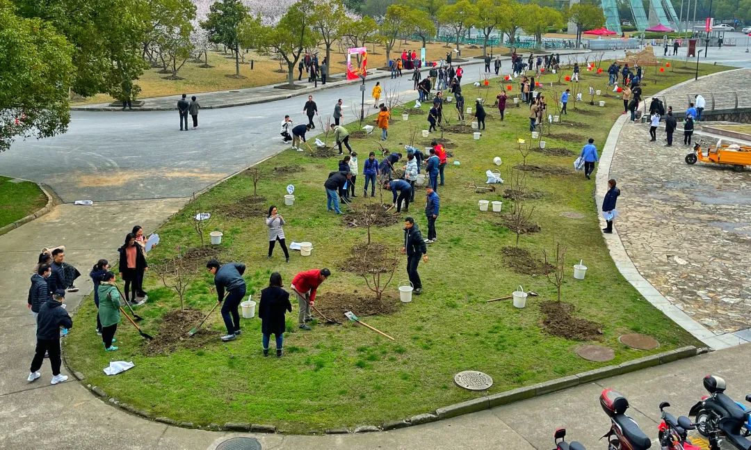 喜迎建党百年，共植杏林春景，伟德举行百名师生党员植栽杏树活动