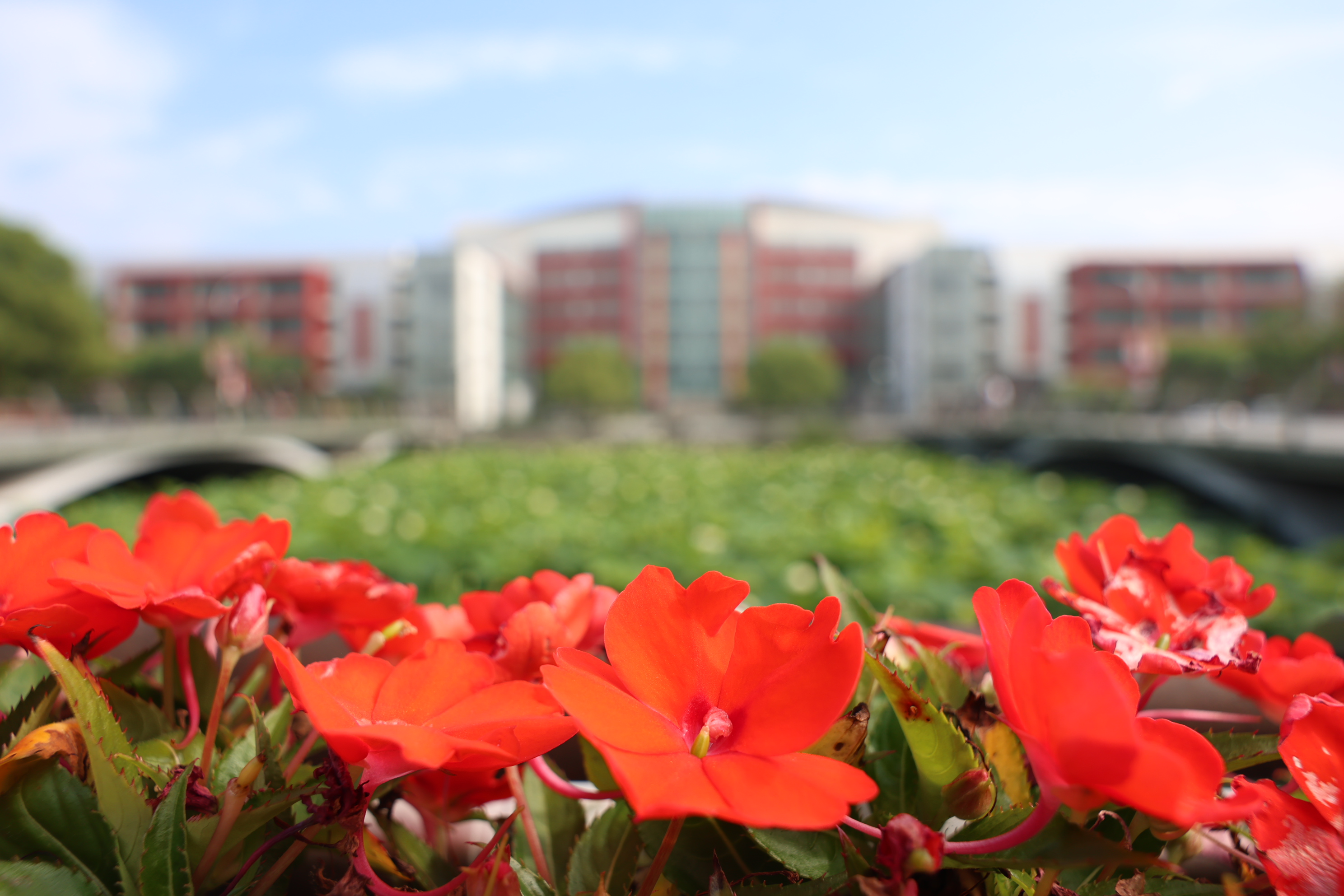 祝贺！伟德系统4项成果喜获上海市科学技术奖