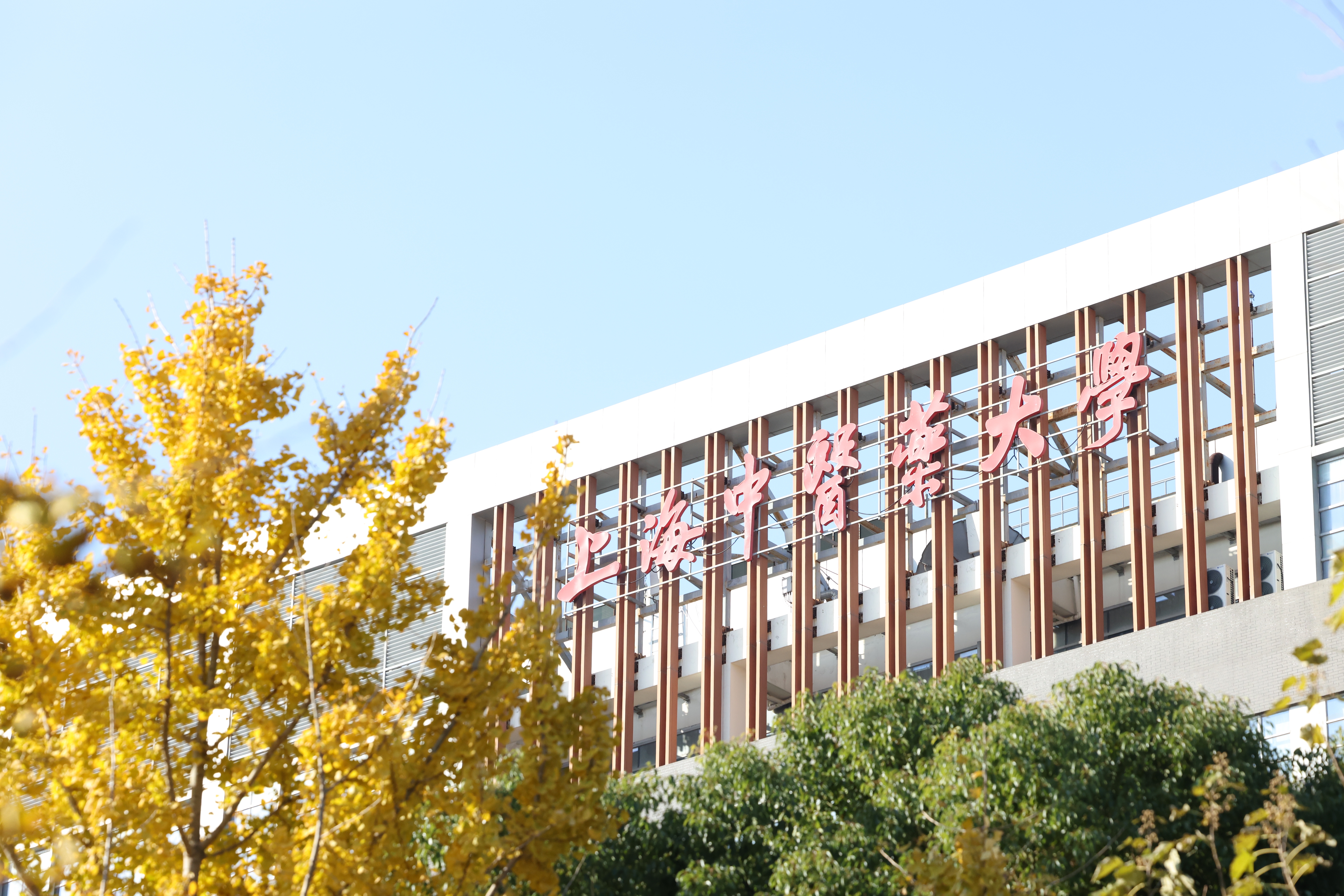 伟德系统九项成果获中国民族医药学会2024年度科学技术奖