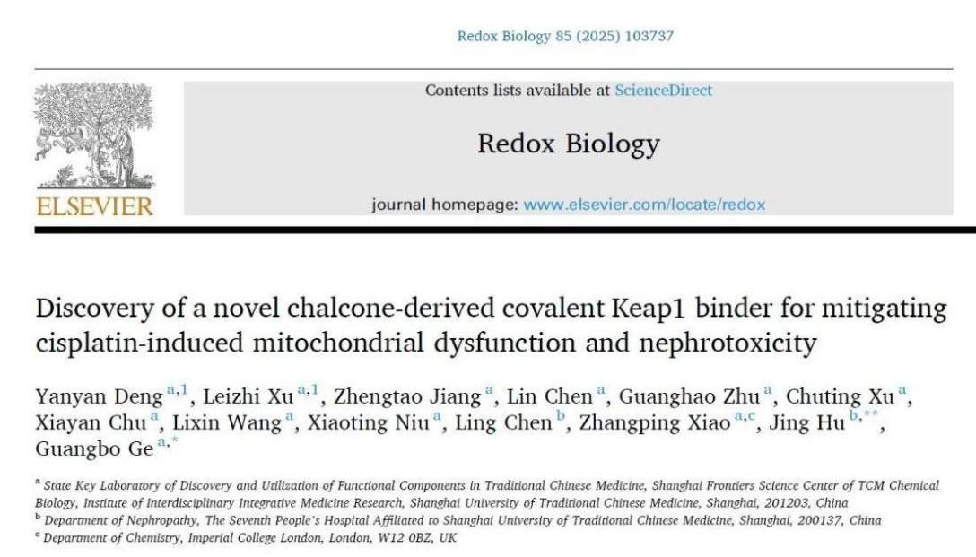 伟德团队研发新型肾靶向Nrf2激动剂用于缓解急性肾损伤