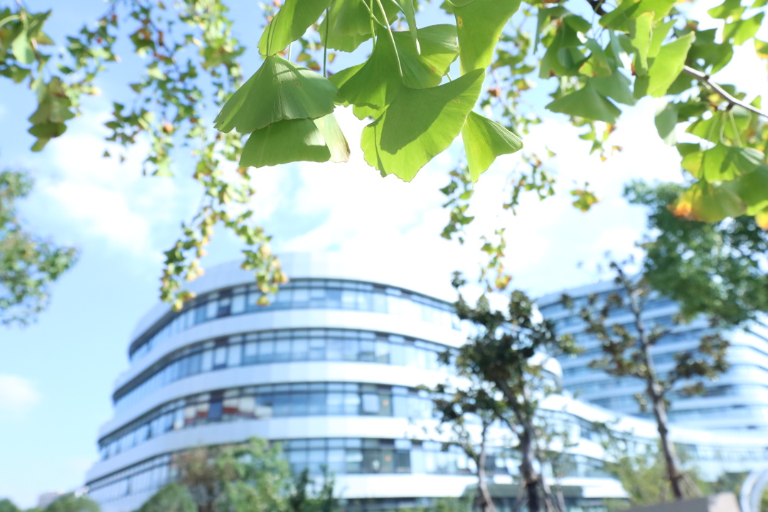 祝贺！伟德系统多个集体和个人获先进表彰！