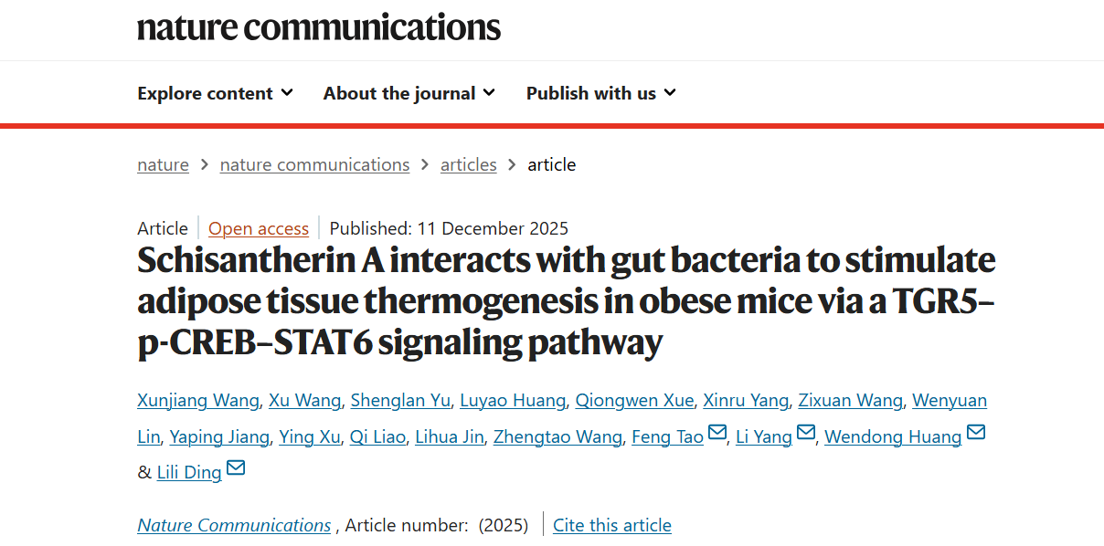 伟德丁丽丽研究员、杨莉研究员带领双方团队破解中药来源天然产物促进脂肪产热减重新机制
