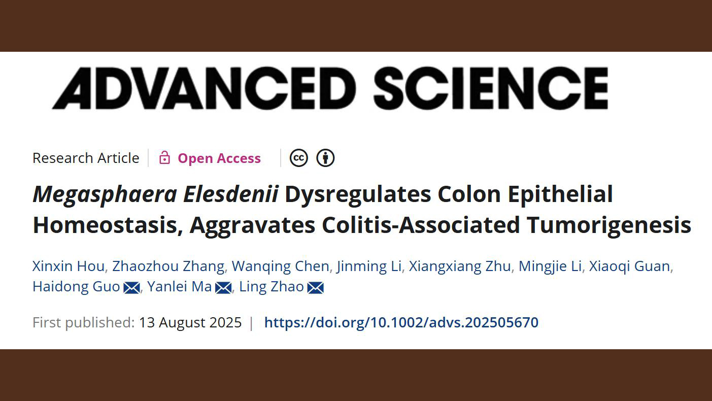 伟德中西医结合学院研究团队揭示肠道菌Megasphaera促进结直肠癌炎癌转化的机制