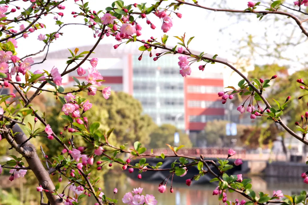 全国卫生健康系统先进表彰！+3！